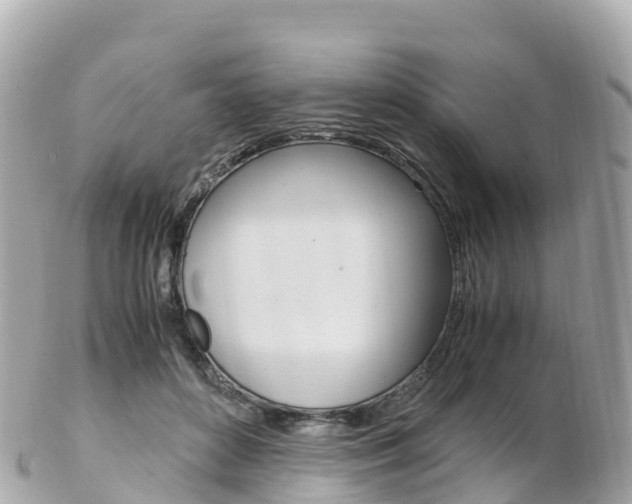 X0000103310504200808291155
