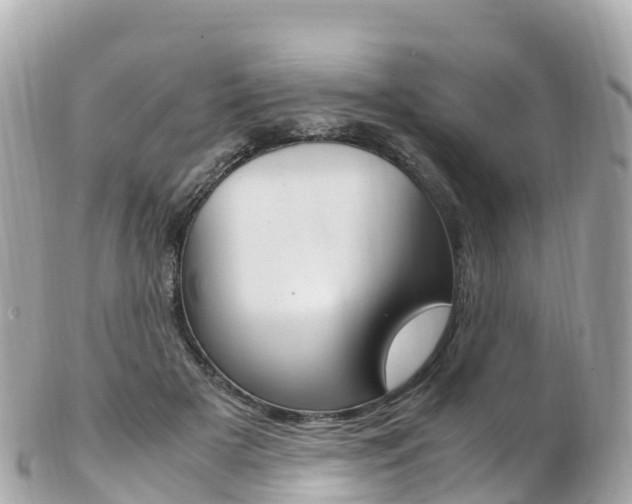 X0000103310505200808291155