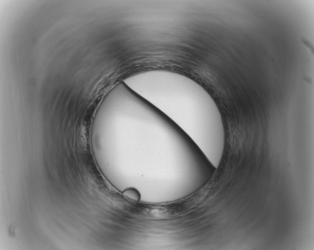 X0000103310506200808291155