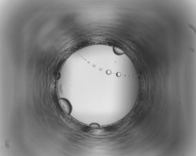X0000103310507200808291155