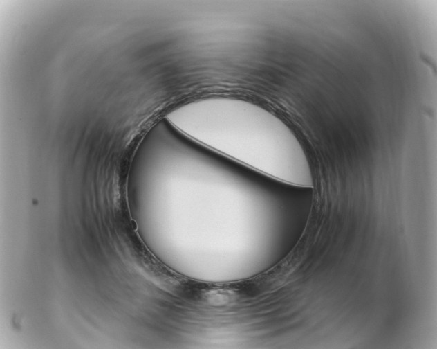 X0000103310508200808291155