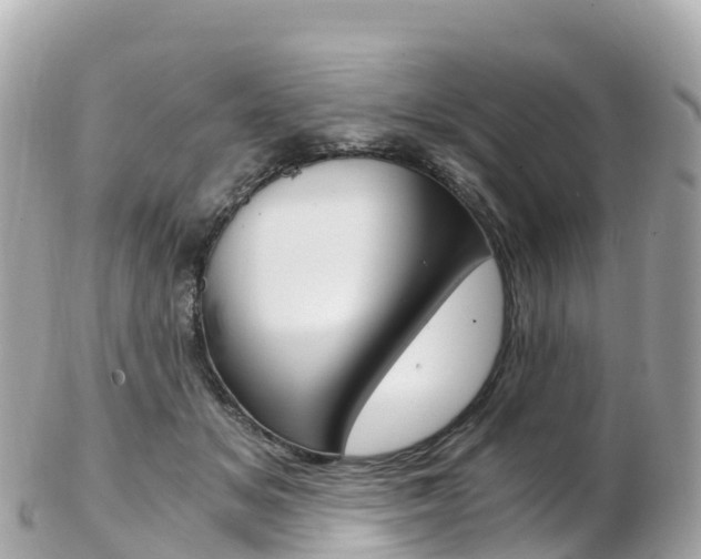 X0000103310509200808291155