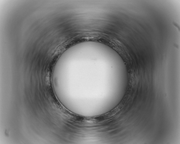 X0000103310510200808291155