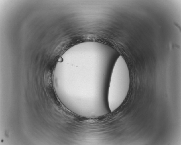 X0000103310511200808291155