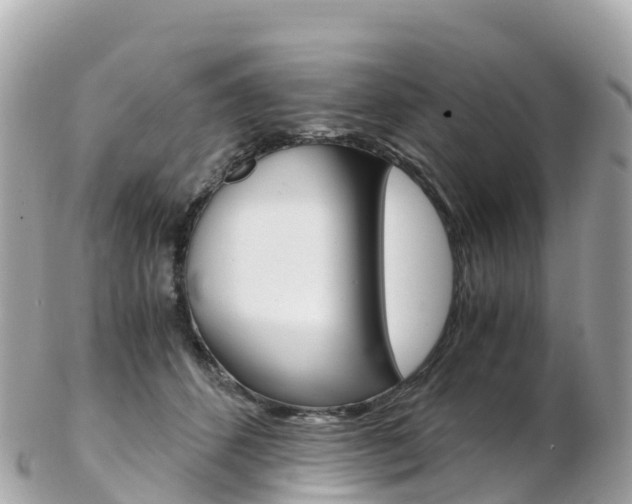 X0000103310512200808291155