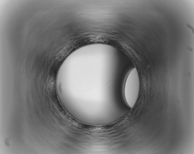 X0000103310513200808291155