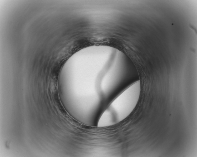X0000103310515200808291155