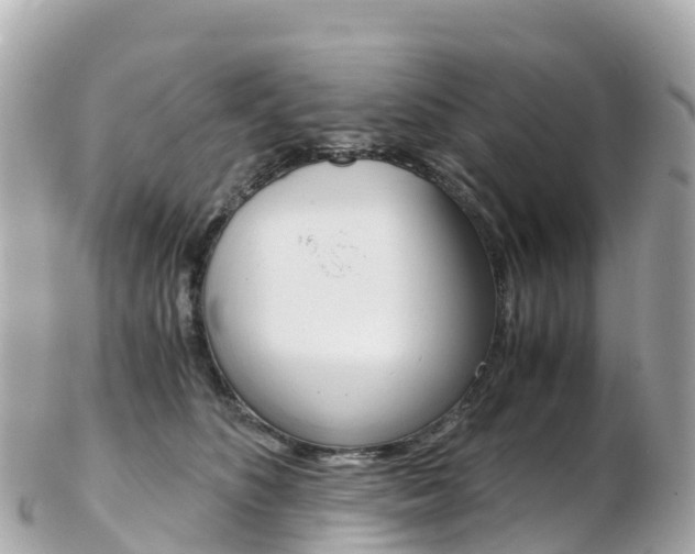 X0000103310516200808291155