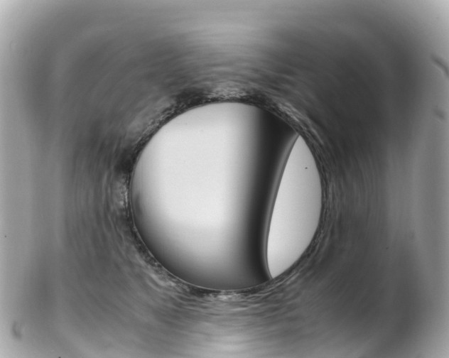 X0000103310517200808291155