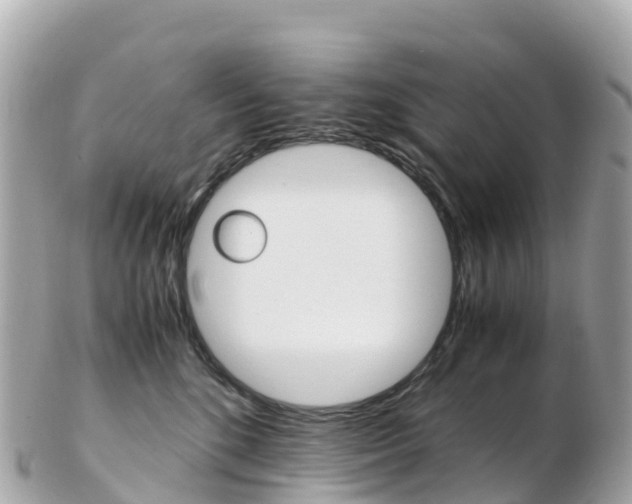 X0000103310520200808291155