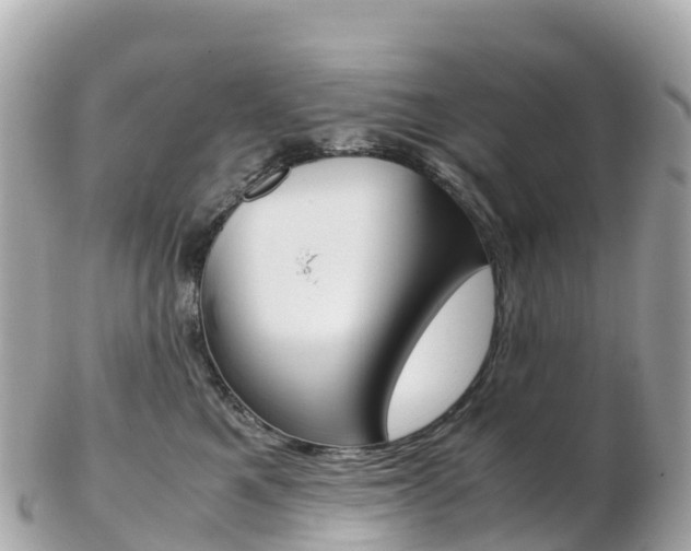 X0000103310521200808291155