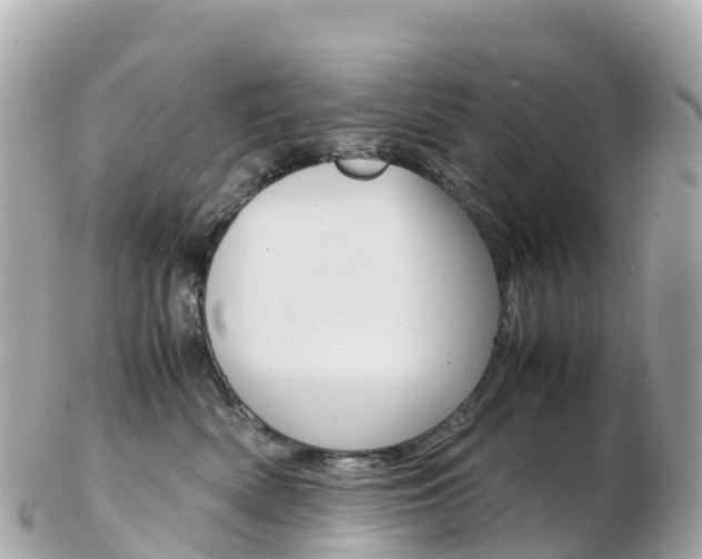 X0000103310522200808291155