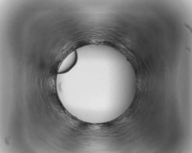 X0000103310523200808291155