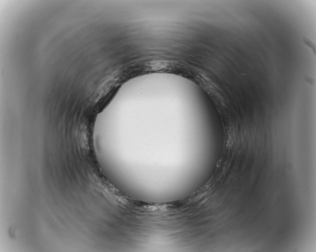 X0000103310524200808291155