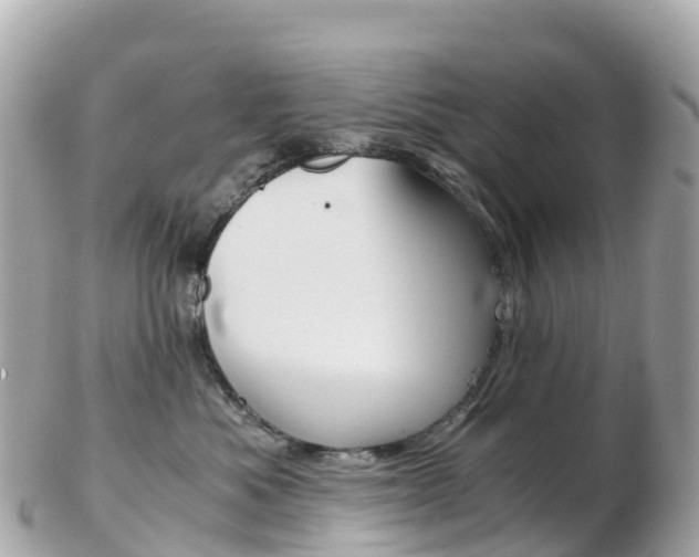 X0000103310525200808291155