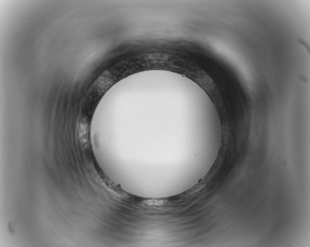 X0000103310526200808291155