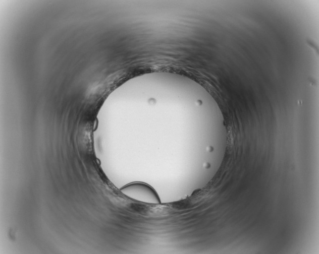 X0000103310527200808291155