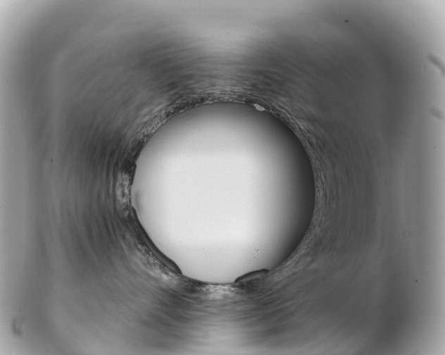 X0000103310528200808291155