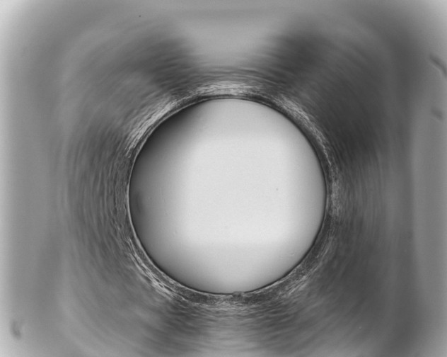 X0000103310529200808291154