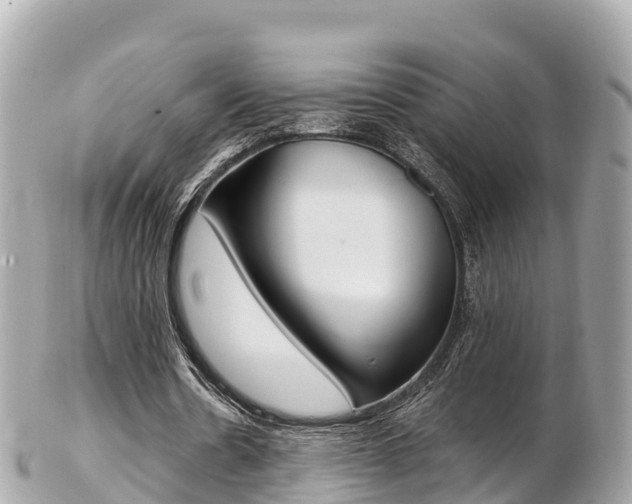 X0000103310530200808291154