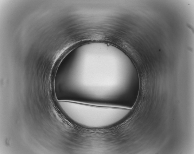 X0000103310532200808291154