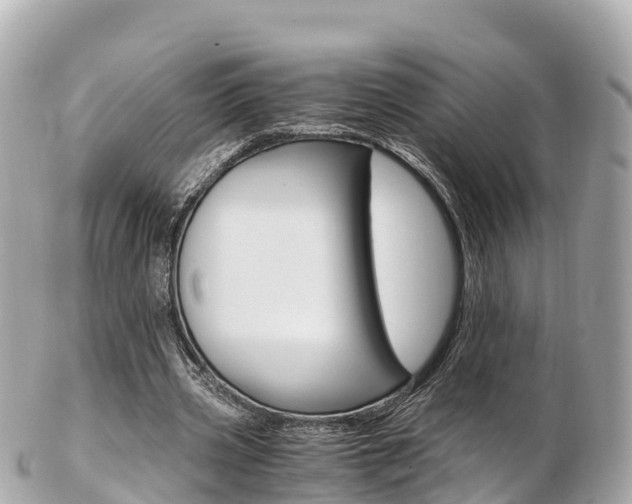 X0000103310533200808291154