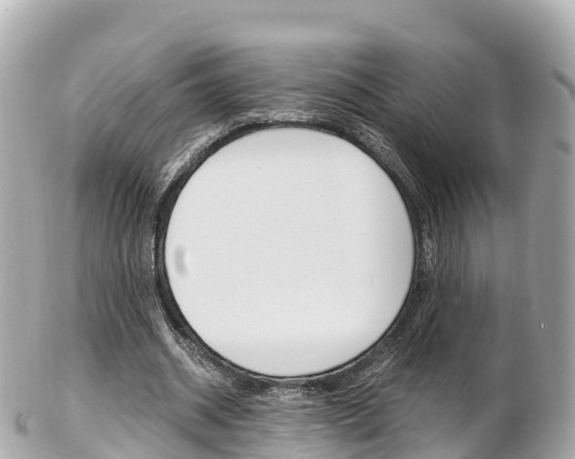 X0000103310534200808291154
