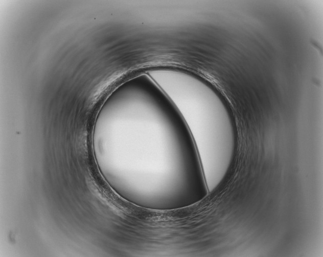 X0000103310535200808291154