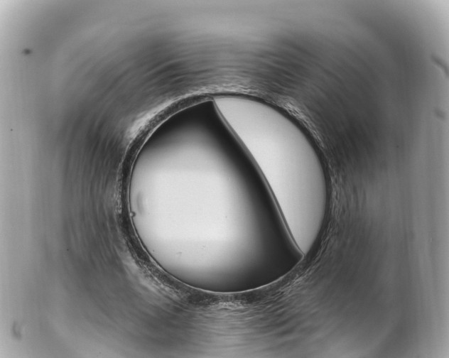 X0000103310536200808291154