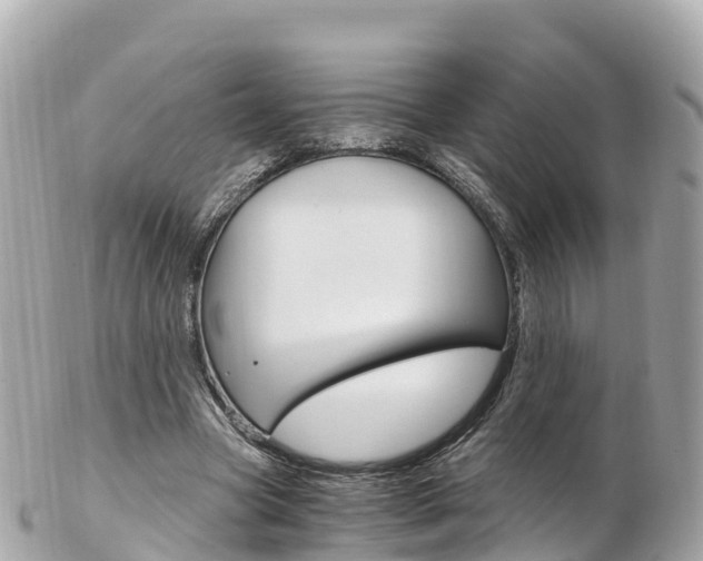 X0000103310537200808291154