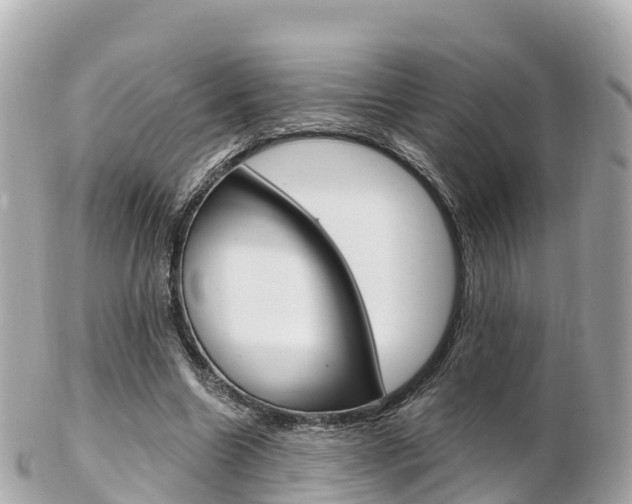 X0000103310538200808291154