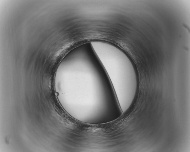 X0000103310539200808291155