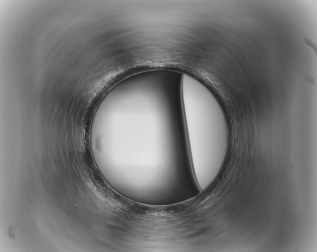 X0000103310540200808291155