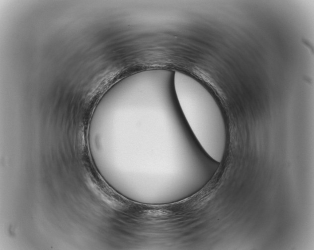 X0000103310541200808291155