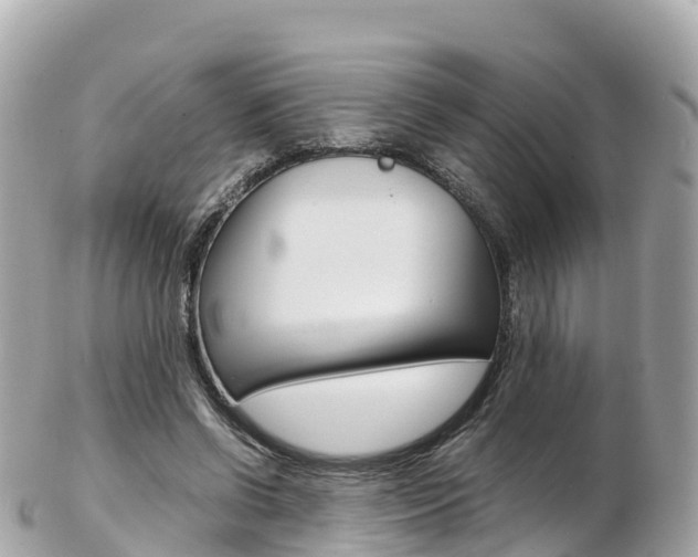 X0000103310542200808291155