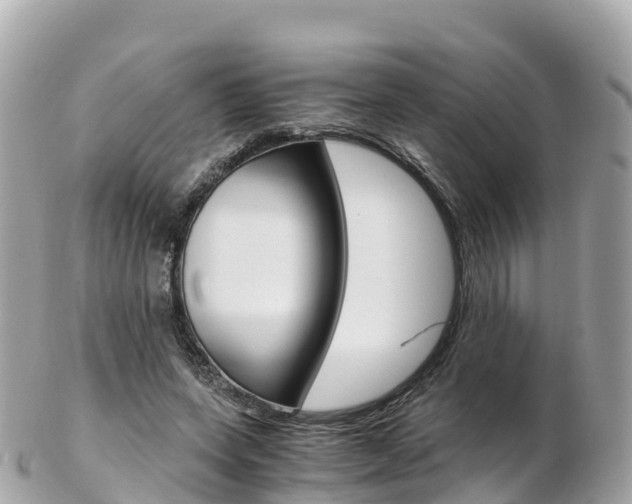 X0000103310543200808291155