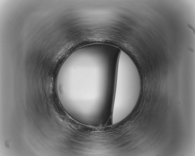 X0000103310544200808291155