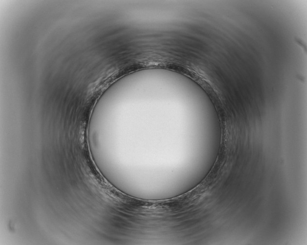 X0000103310545200808291155