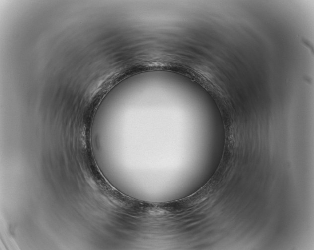 X0000103310547200808291155