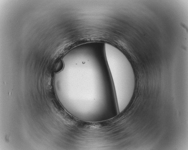 X0000103310548200808291155