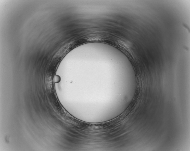 X0000103310549200808291155