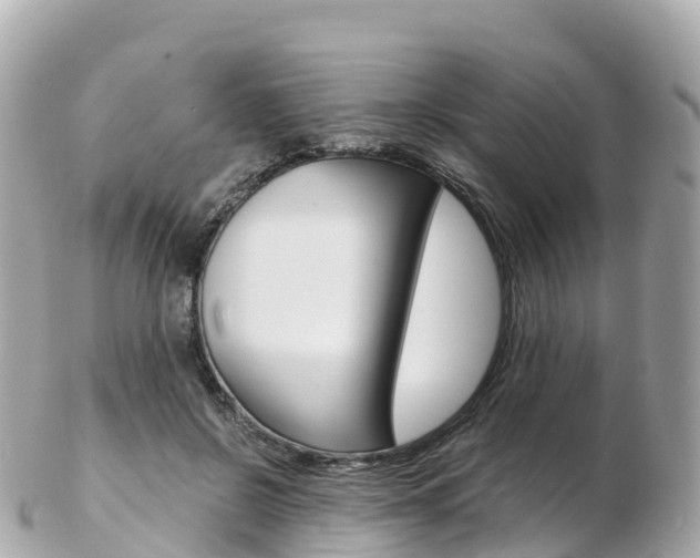 X0000103310550200808291155