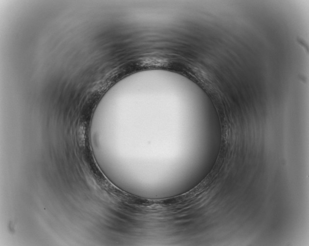 X0000103310551200808291155