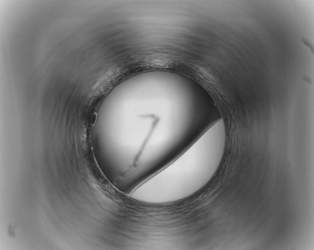 X0000103310552200808291155