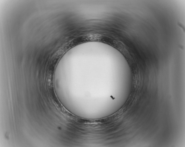 X0000103310553200808291155