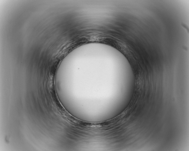 X0000103310554200808291155