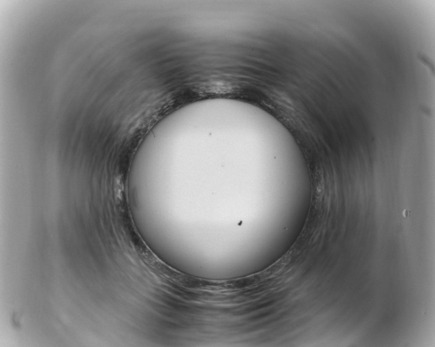 X0000103310555200808291155