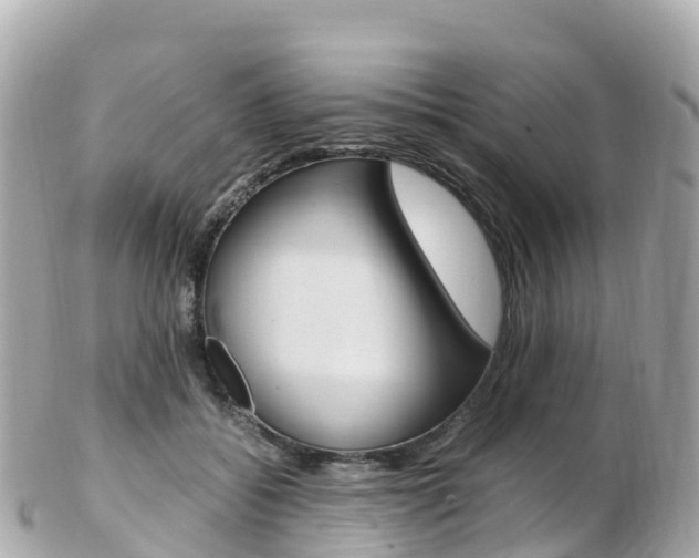 X0000103310556200808291155