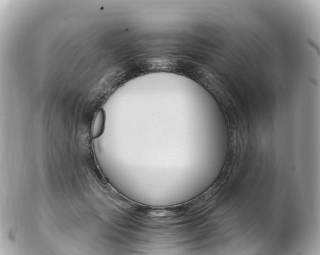 X0000103310557200808291155