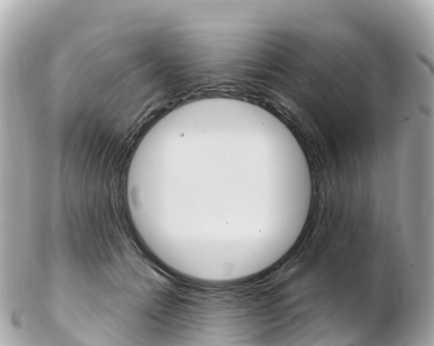 X0000103310558200808291155